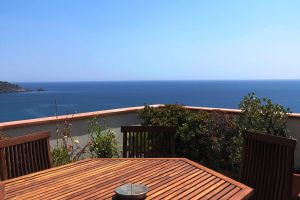 Animali Al Seguito Non Cè Problema Italia Solaris