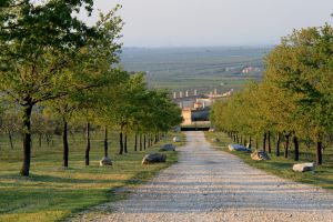 Historical Apulian masseria surrounded by the countryside near Castel del Monte Historical Apulian masseria surrounded by the countryside near Castel del Monte, Puglia