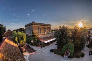 A view at sunset Salento wine estate view