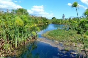 Fiume Ciane e Saline di Siracusa