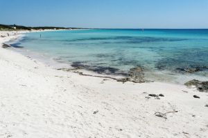 Porto Cesareo